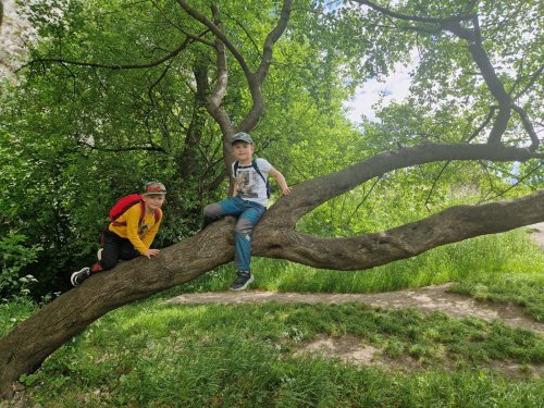 Sokolský zájezd na Pálavu - 26.5.2025