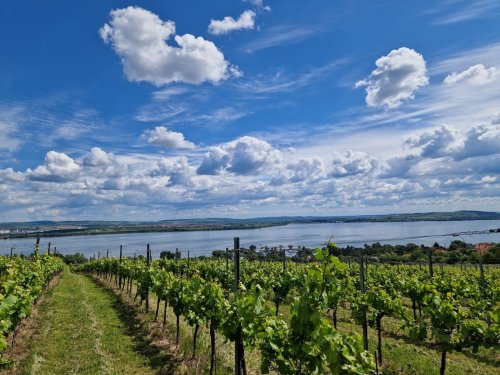 Sokolský zájezd na Pálavu - 26.5.2025