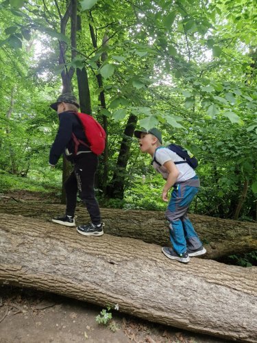 Sokolský zájezd na Pálavu - 26.5.2025