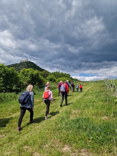 Sokolský zájezd na Pálavu - 26.5.2025