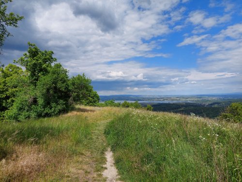 Sokolský zájezd na Pálavu - 26.5.2025