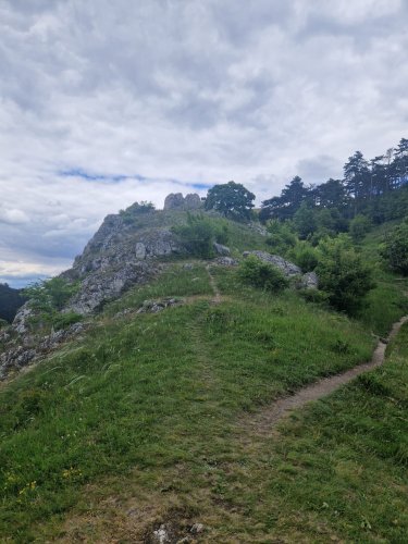 Sokolský zájezd na Pálavu - 26.5.2025