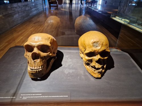 Sokolský zájezd na Pálavu - 26.5.2025