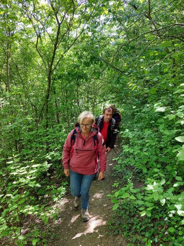 Sokolský zájezd na Pálavu - 26.5.2025