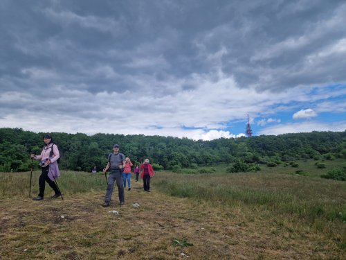 Sokolský zájezd na Pálavu - 26.5.2025