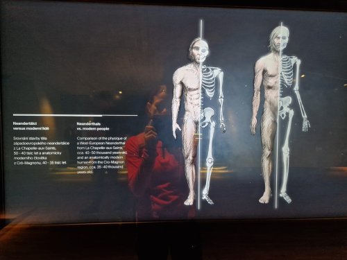 Sokolský zájezd na Pálavu - 26.5.2025