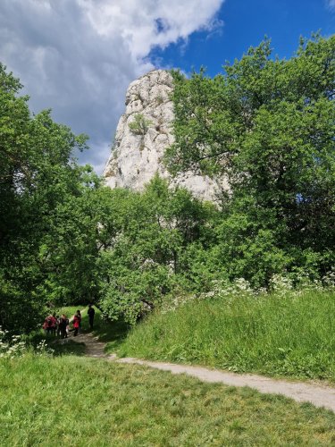 Sokolský zájezd na Pálavu - 26.5.2025