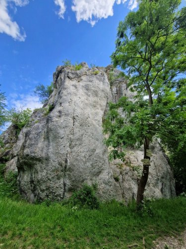 Sokolský zájezd na Pálavu - 26.5.2025