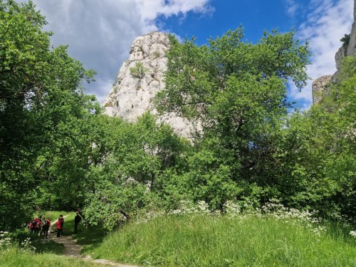 Sokolský zájezd na Pálavu - 26.5.2025