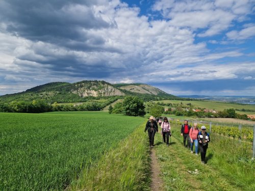 Sokolský zájezd na Pálavu - 26.5.2025