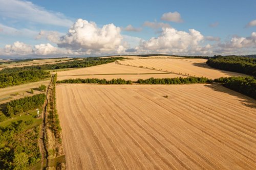 Soubor /2025-11-02-podzim-podoli-11.jpg