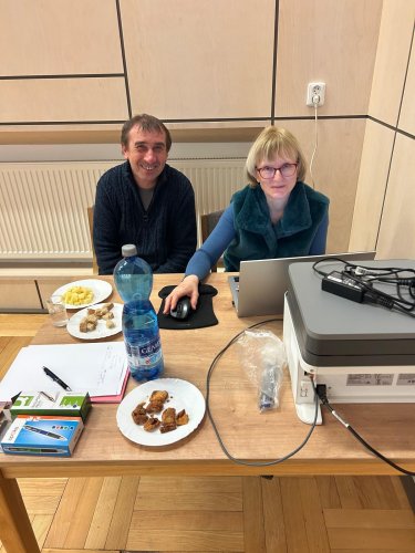 Soubor /2026-03-07-kos-slivovice-5.jpg