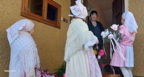 Nosení létečka - královničky - 22.3.2026