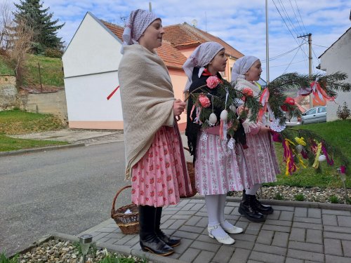 Nosení létečka - královničky - 22.3.2026