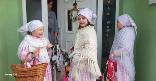 Nosení létečka - královničky - 22.3.2026