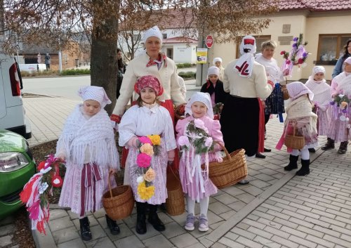 Nosení létečka - královničky - 22.3.2026