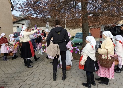 Nosení létečka - královničky - 22.3.2026