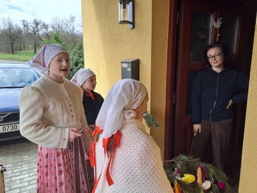 Nosení létečka - královničky - 22.3.2026