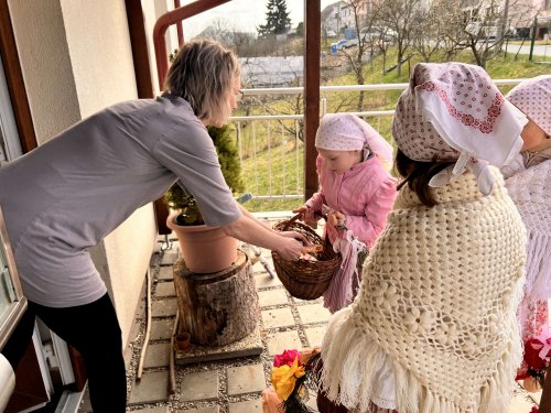 Nosení létečka - královničky - 22.3.2026