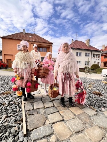 Nosení létečka - královničky - 22.3.2026