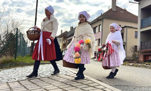 Nosení létečka - královničky - 22.3.2026
