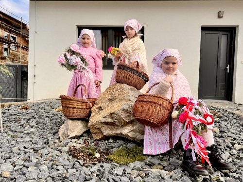 Nosení létečka - královničky - 22.3.2026