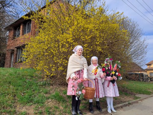 Nosení létečka - královničky - 22.3.2026