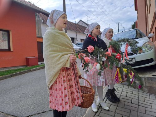 Nosení létečka - královničky - 22.3.2026