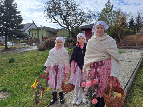 Nosení létečka - královničky - 22.3.2026