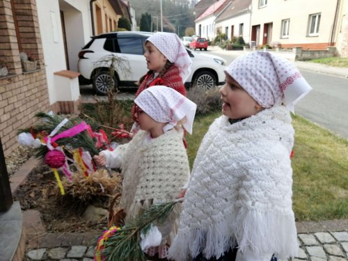 Nosení létečka - královničky - 22.3.2026