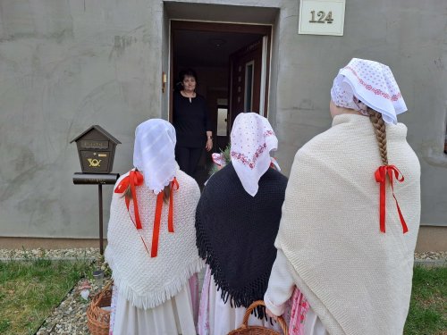 Nosení létečka - královničky - 22.3.2026