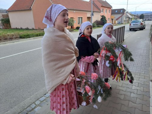 Nosení létečka - královničky - 22.3.2026