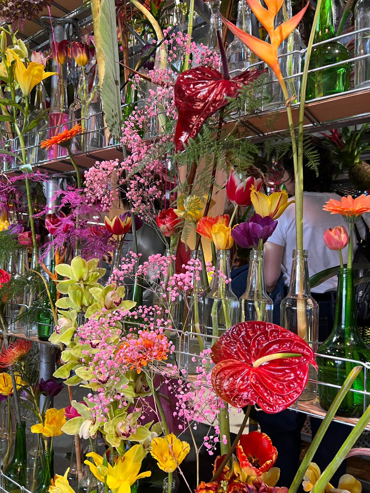 Zájezd zahrádkářů na Floru Olomouc - 25.4.2026