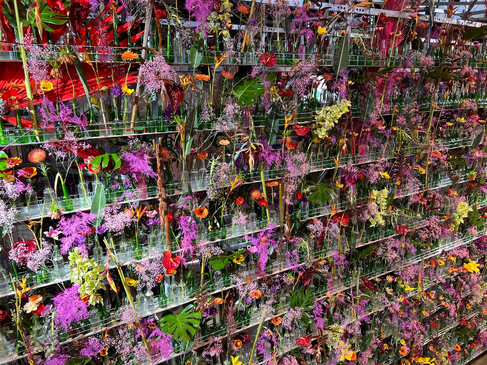 Zájezd zahrádkářů na Floru Olomouc - 25.4.2026