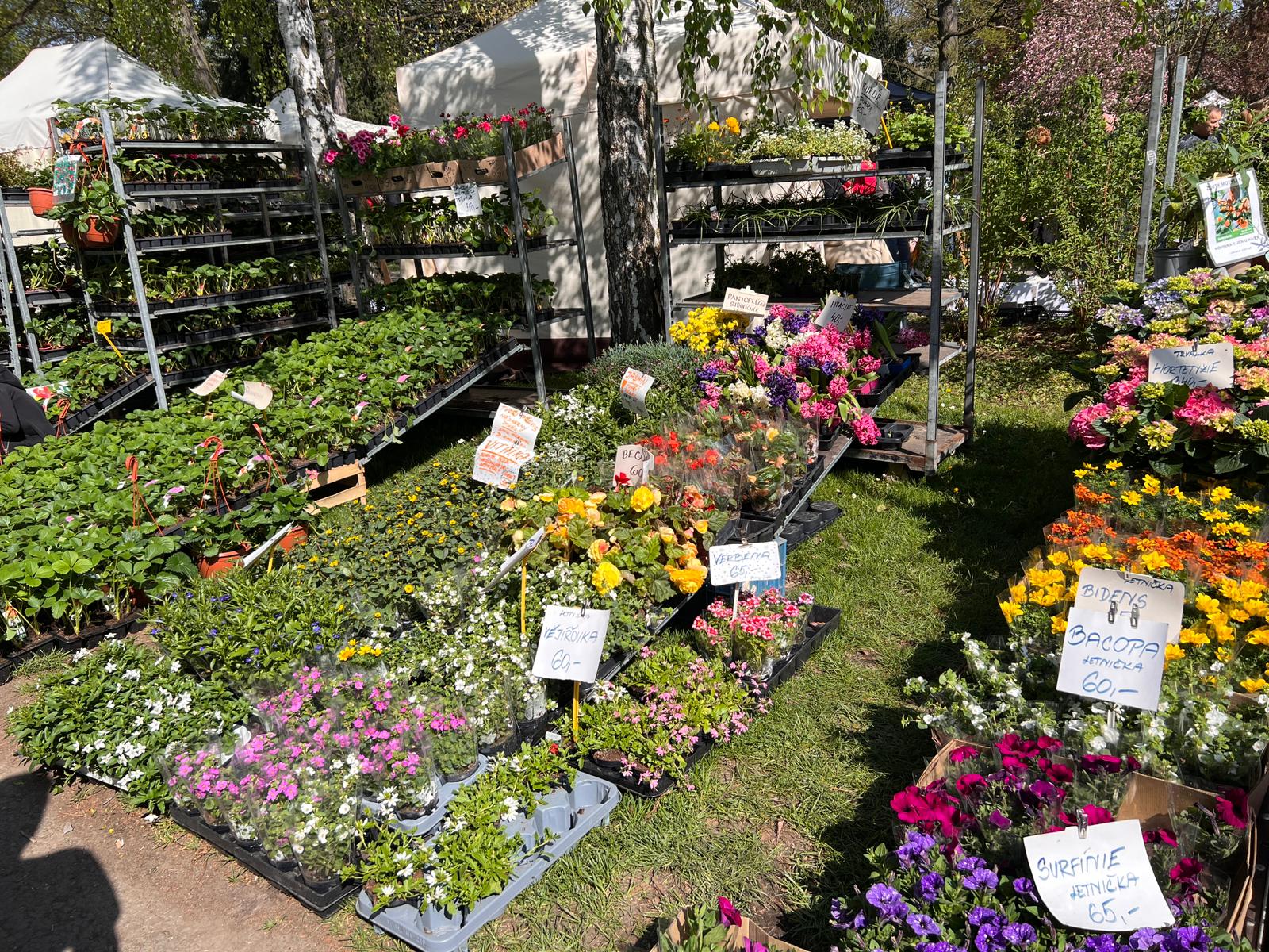 Zájezd zahrádkářů na Floru Olomouc - 25.4.2026
