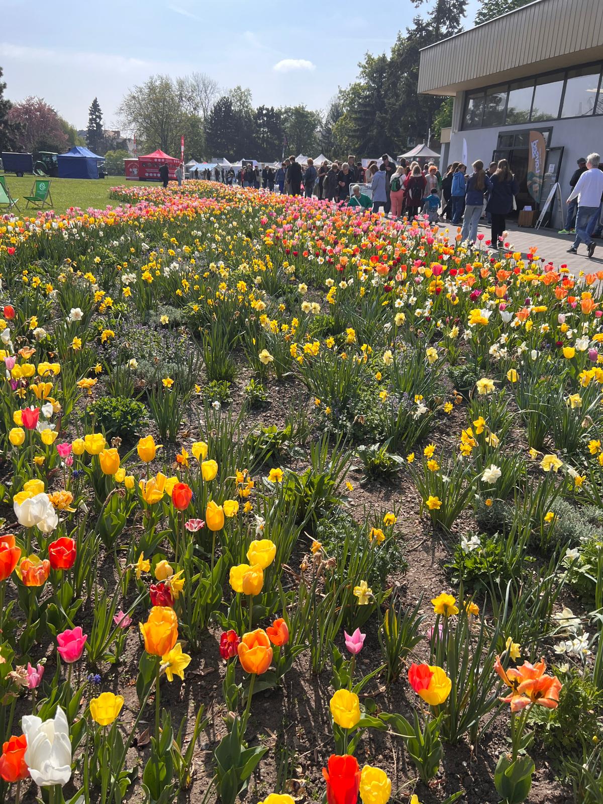 Zájezd zahrádkářů na Floru Olomouc - 25.4.2026