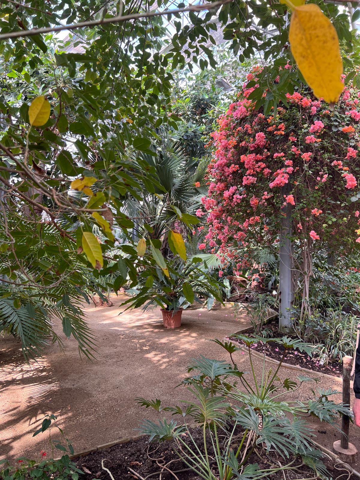 Zájezd zahrádkářů na Floru Olomouc - 25.4.2026