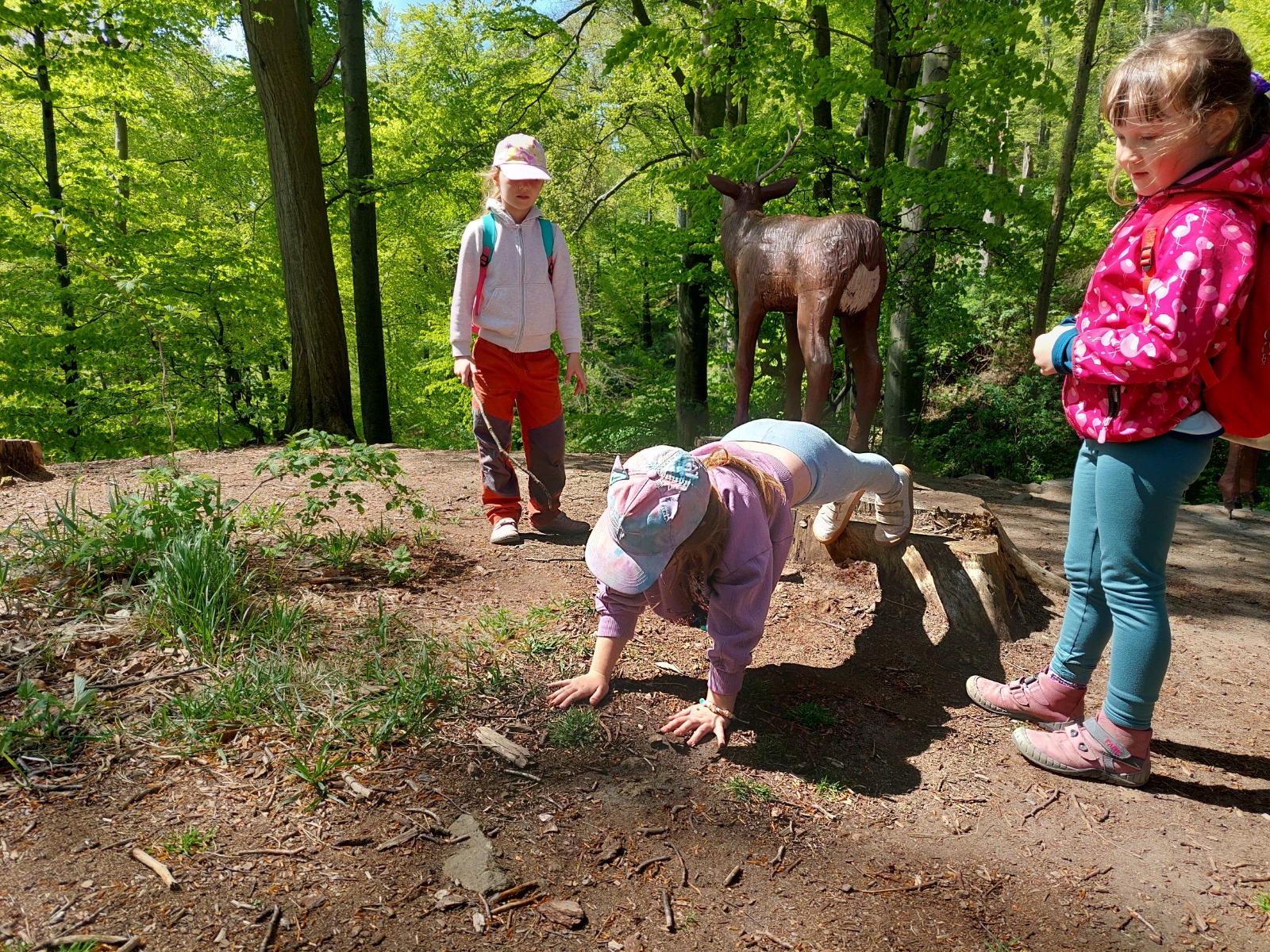 Sokolská vycházka na Buchlov - 25.4.2026