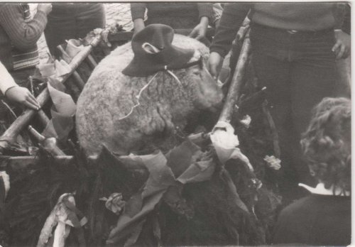 Slovácké hody v Podolí