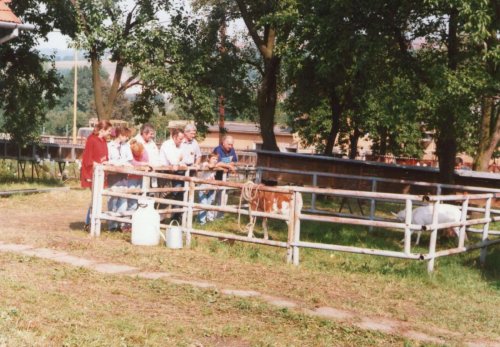 Kultura a tradice v obci