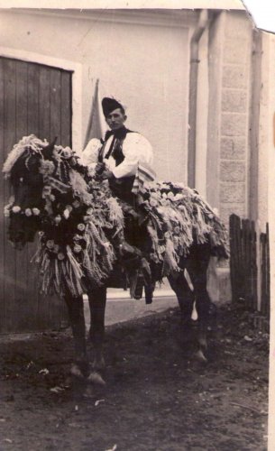 Kultura a tradice v obci