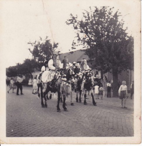 Kultura a tradice v obci