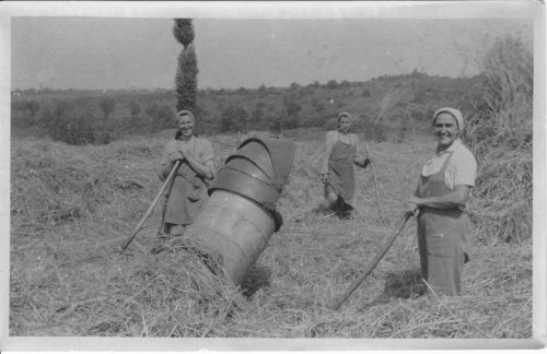 Ostatní fotografie ze života v Podolí