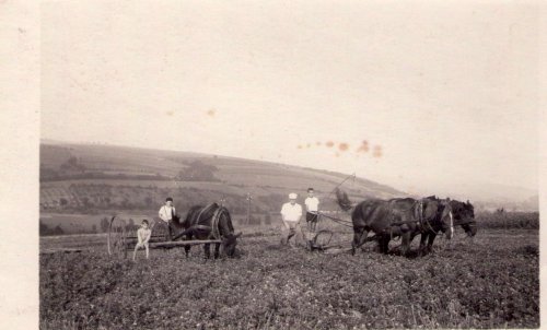 Ostatní fotografie ze života v Podolí